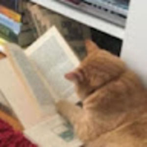 Meet your Posher, Ava-murphy